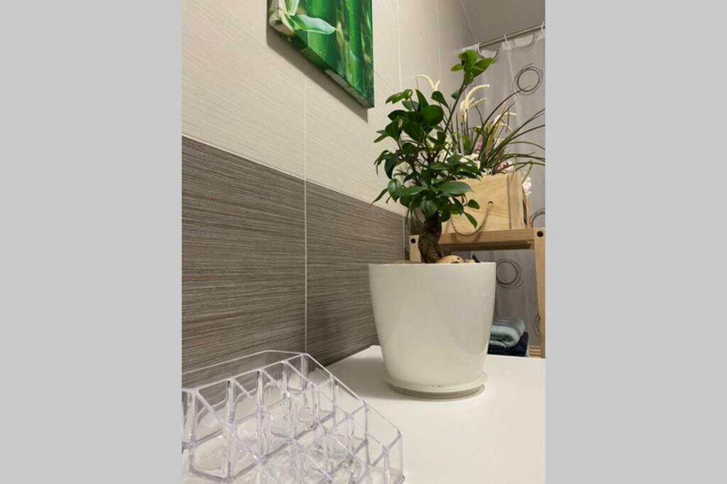 Apartament A 600 M De La Playa Y El Castillo Santa Ana *
